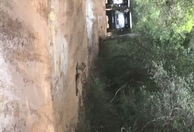 Majatalo Ceylon Wilpattu Safaris & Lodging