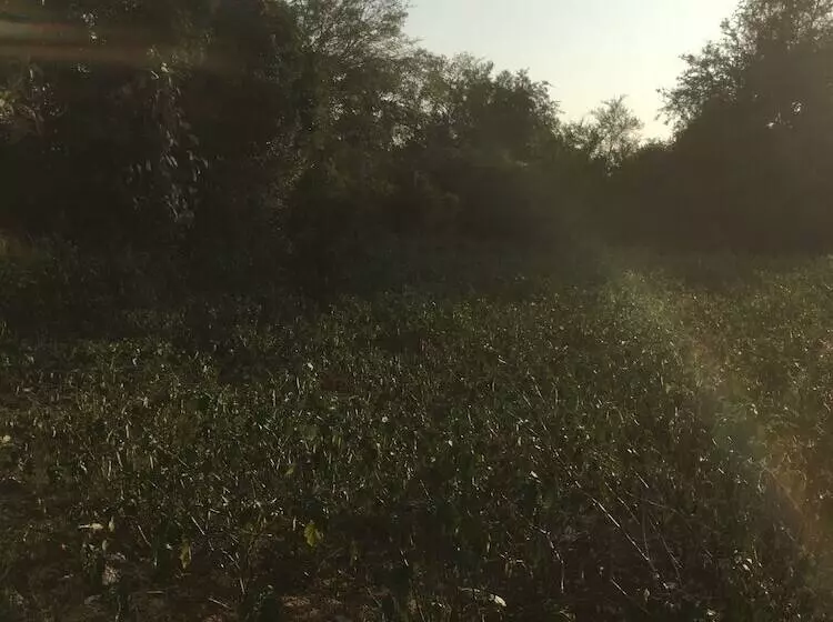 Majatalo Ceylon Wilpattu Safaris & Lodging