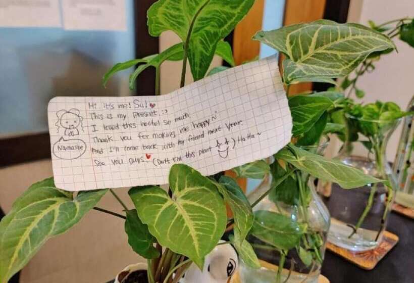 A Sleepy Fox   Hostel