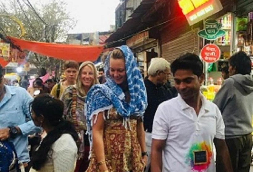 A Sleepy Fox   Hostel