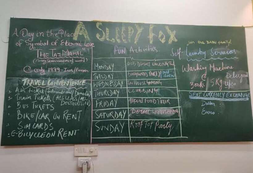 A Sleepy Fox   Hostel