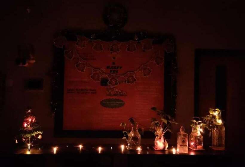 A Sleepy Fox   Hostel