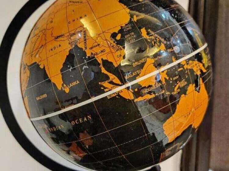 A Sleepy Fox   Hostel