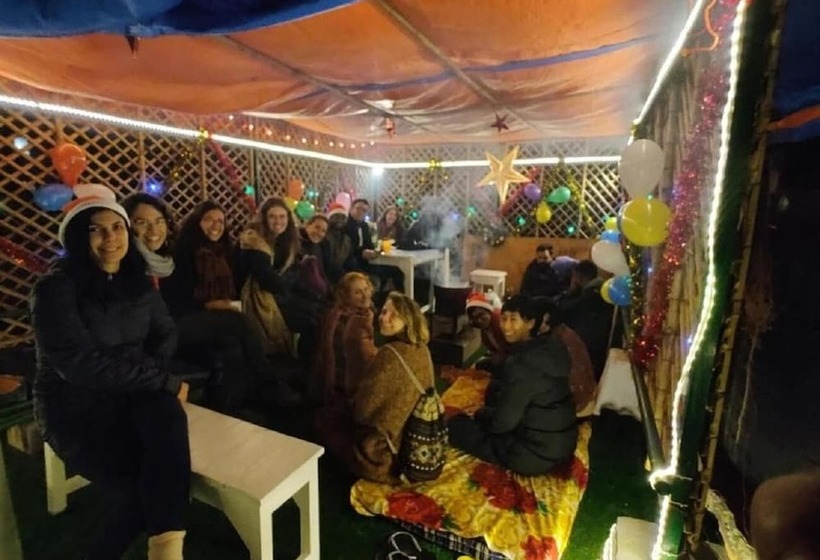 A Sleepy Fox   Hostel