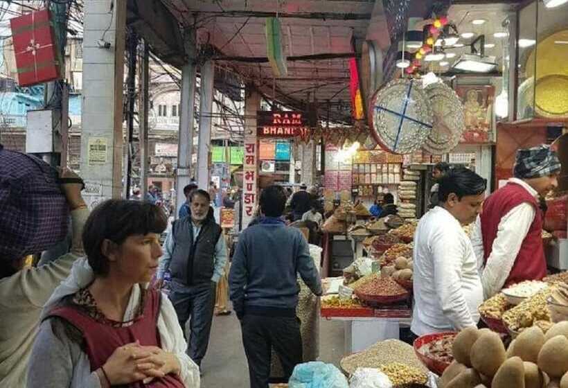 A Sleepy Fox   Hostel