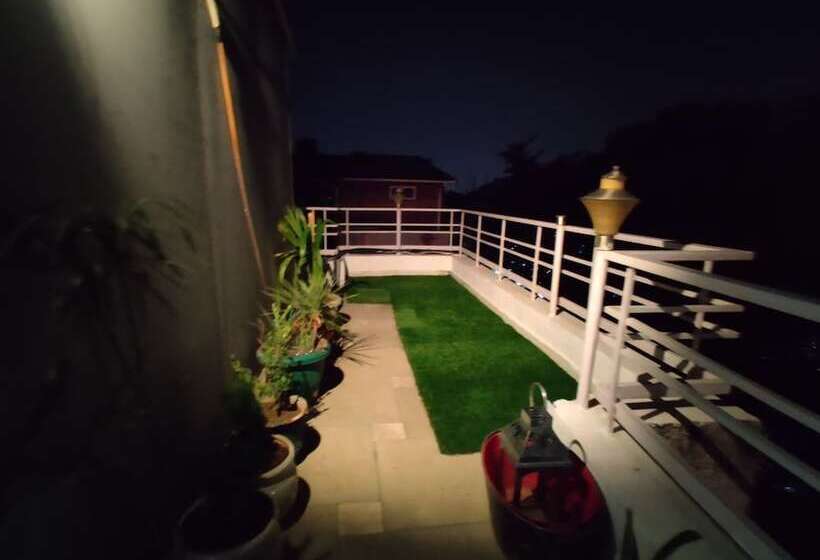 A Sleepy Fox   Hostel