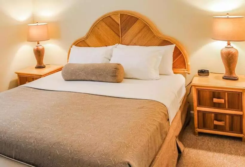 酒店 Berkshire On the Ocean