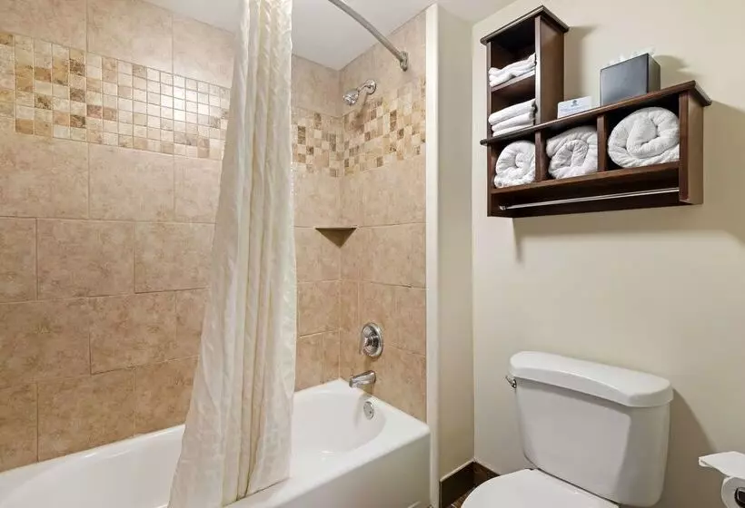 酒店 Best Western Colonial Inn