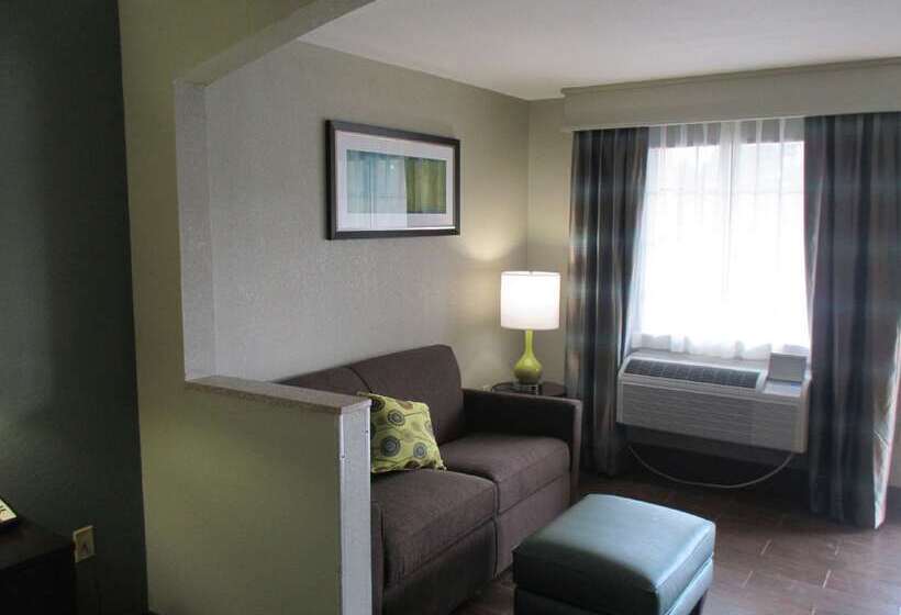 Отель Best Western Executive Suites