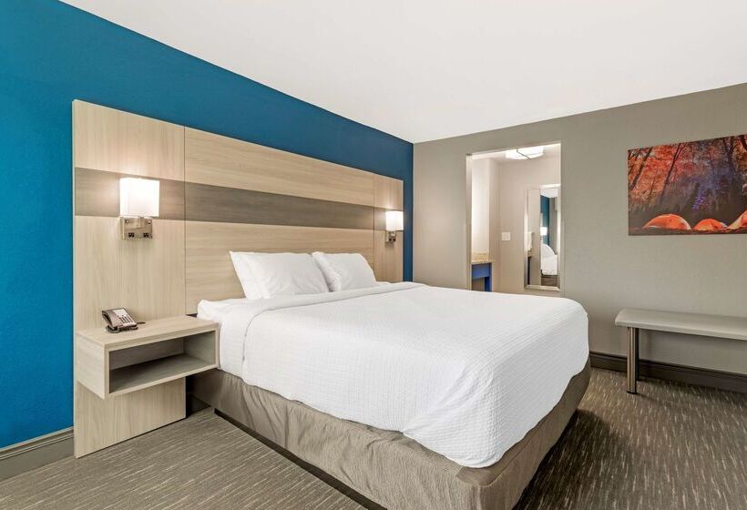 ホテル Best Western Plus Magnolia Inn & Suites