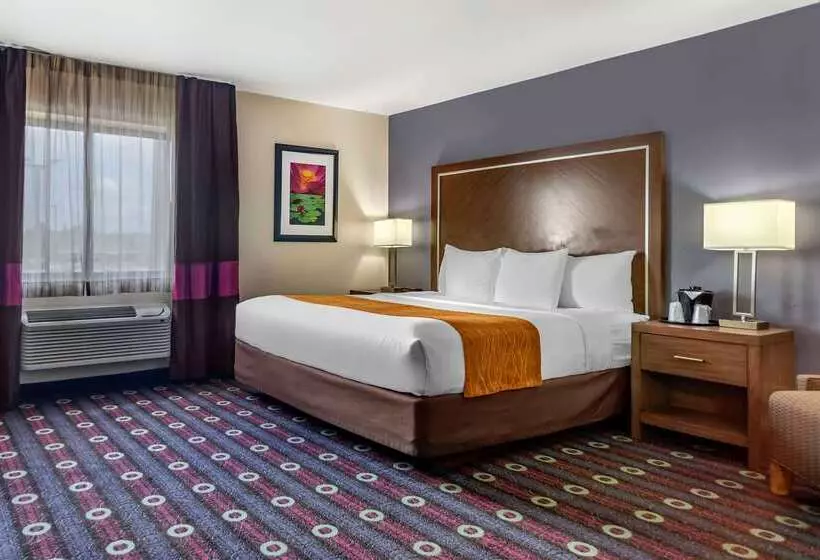 בית מלון כפרי Comfort Inn Midtown