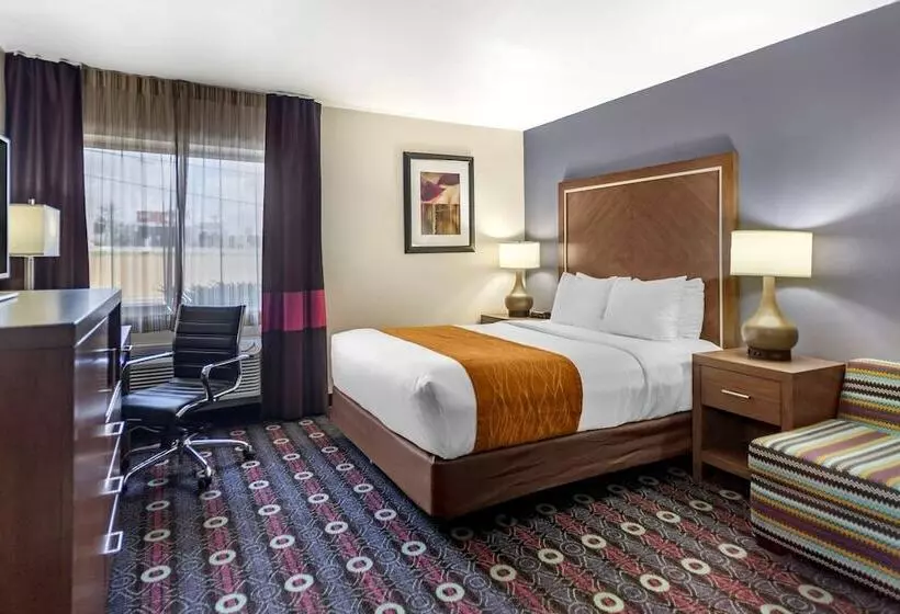 בית מלון כפרי Comfort Inn Midtown