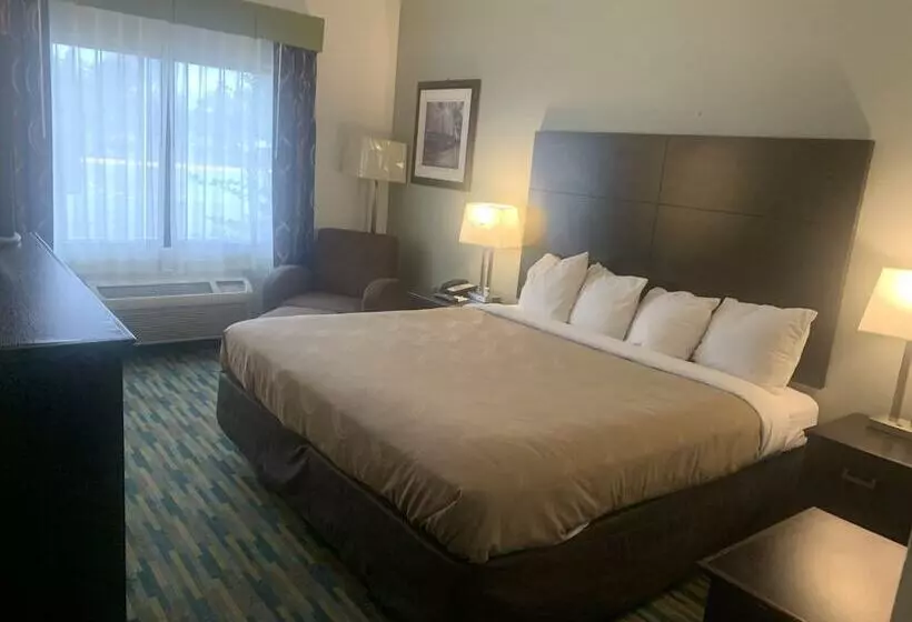 Отель Quality Inn Winder, Ga