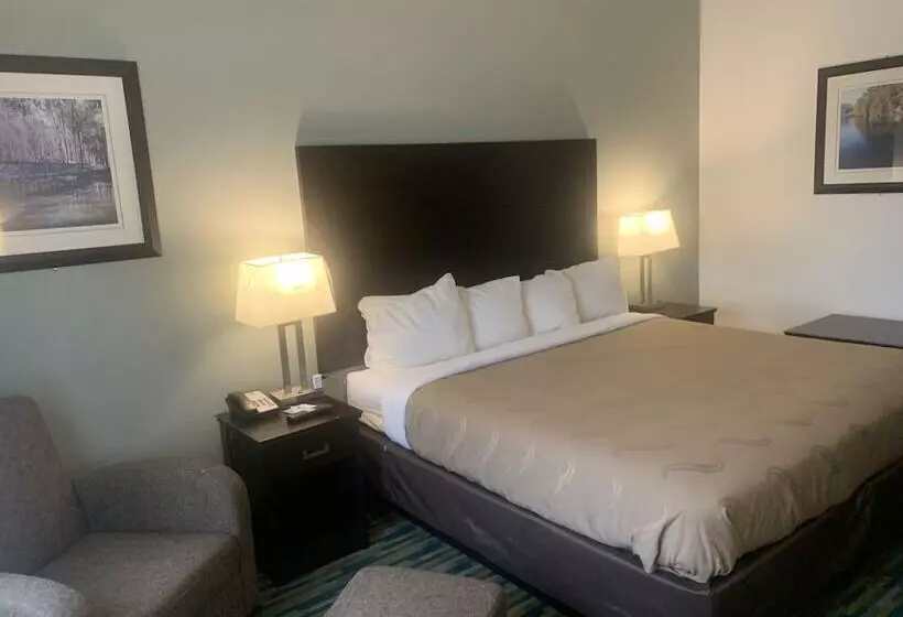 Отель Quality Inn Winder, Ga