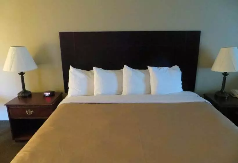 Отель Quality Inn Winder, Ga