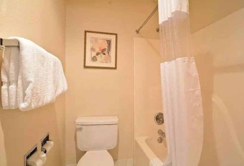 M Star Hotel Little Rock