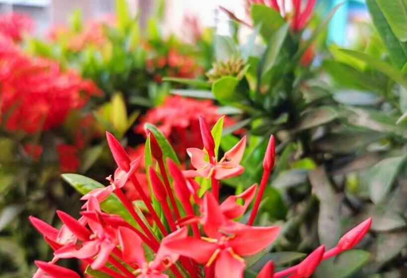 Pension Hostal Zurymar Capurganá