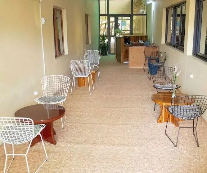 Hotel Lewi