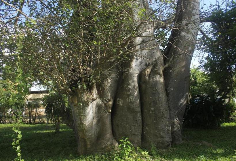 پانسیون Hidden Paradise Beach Cottages Msambweni