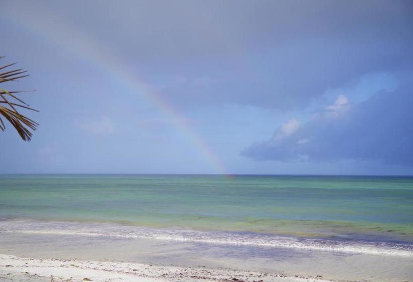 پانسیون Hidden Paradise Beach Cottages Msambweni