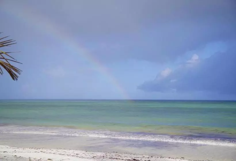 پانسیون Hidden Paradise Beach Cottages Msambweni