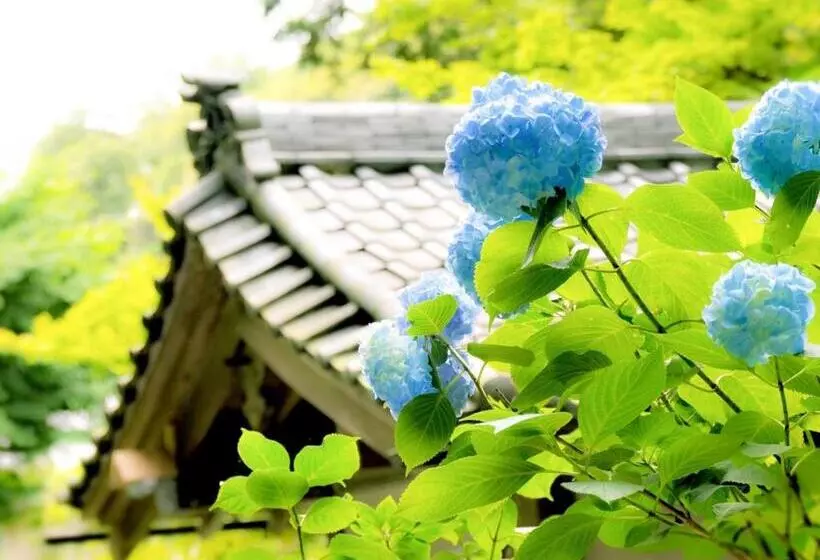 ریوکان Kamakura Cocon