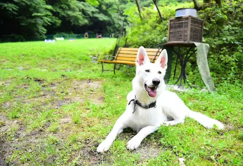 استراحتگاه Aso Daiichikan