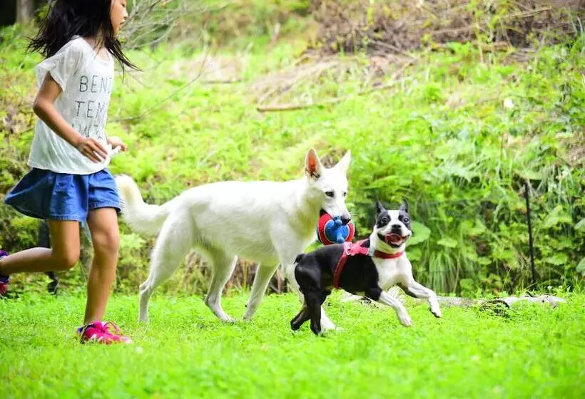 استراحتگاه Aso Daiichikan