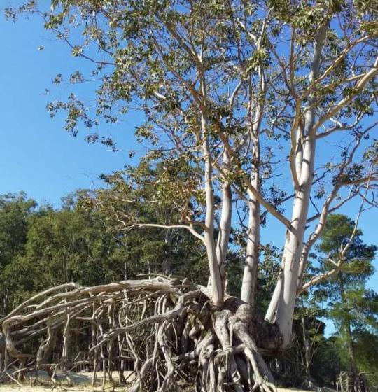 Hotel Hostal Posada Del Hum