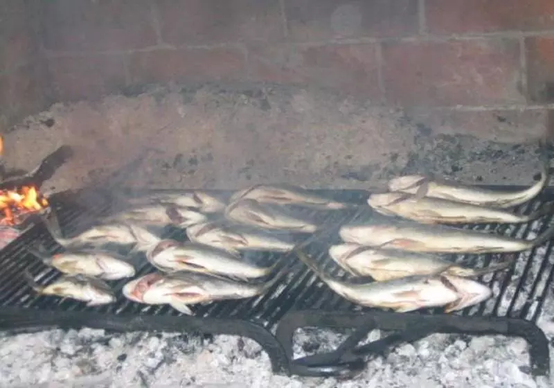 Hotel Villa Top