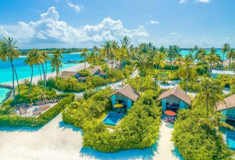 渡假胜地  Hard Rock Hotel Maldives