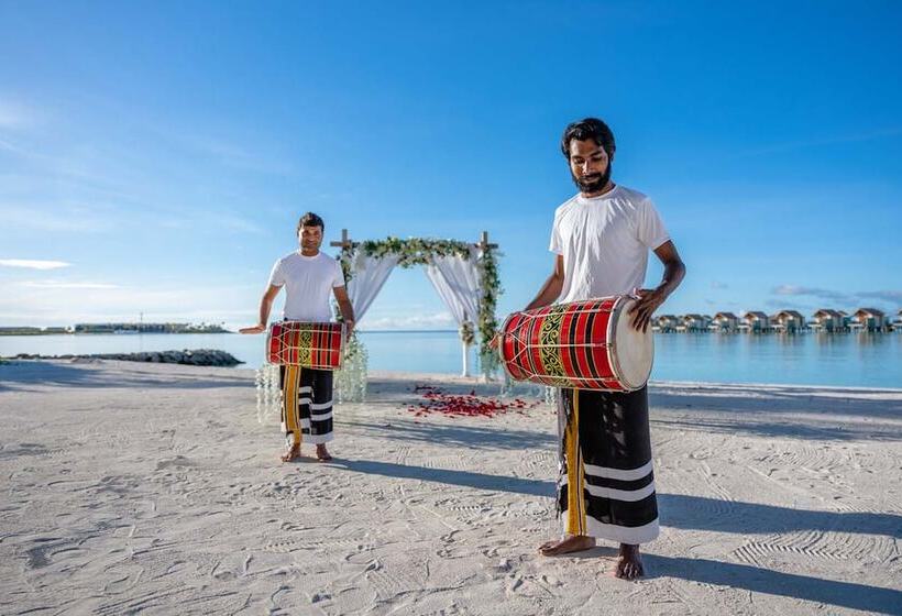 渡假胜地  Hard Rock Hotel Maldives