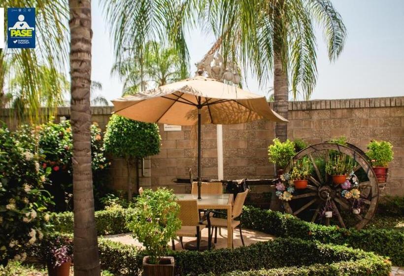 ホテル Maioris Kumate Culiacán