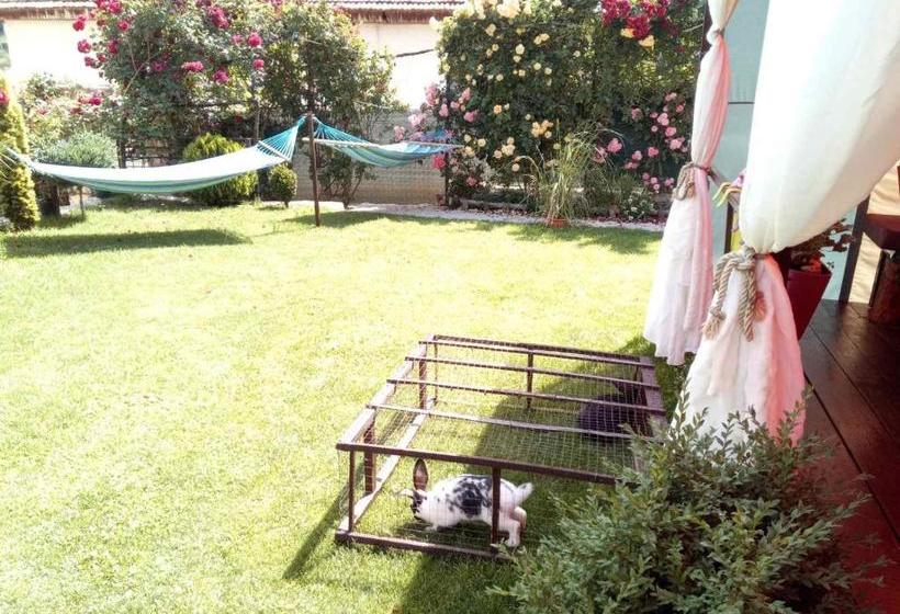 پانسیون Yard House Trpejca