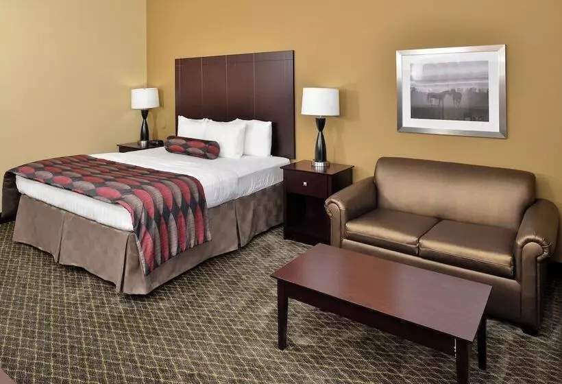 酒店 Baymont By Wyndham Ardmore I 35