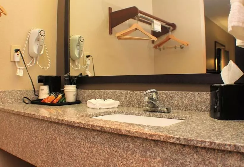 호텔 Best Western Inn & Suites