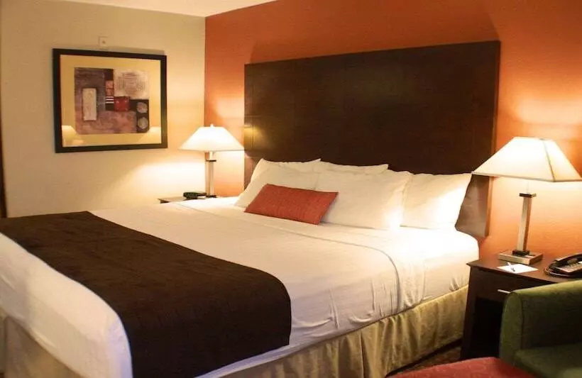 호텔 Best Western Inn & Suites