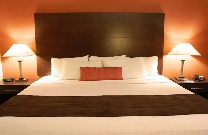 호텔 Best Western Inn & Suites