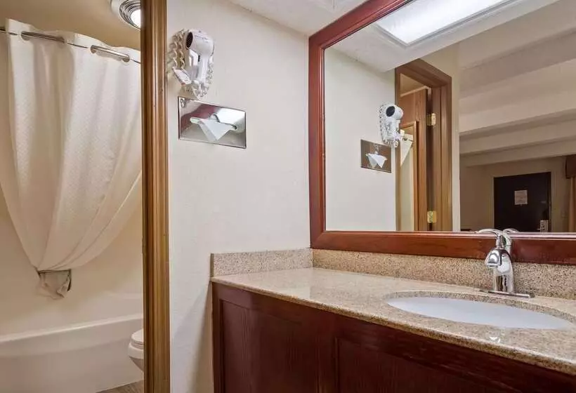 호텔 Best Western Montis Inn