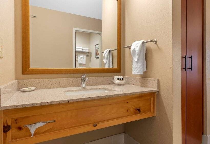 فندق Best Western Plus Olympic Inn