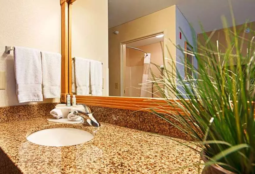 호텔 Best Western Wapakoneta Inn