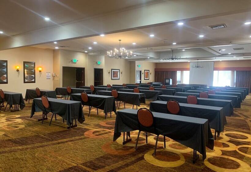 בית מלון כפרי Holiday Inn Dublin Pleasanton, An Ihg