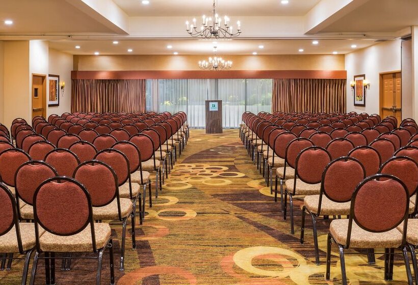 בית מלון כפרי Holiday Inn Dublin Pleasanton, An Ihg