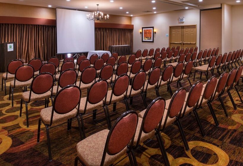 בית מלון כפרי Holiday Inn Dublin Pleasanton, An Ihg