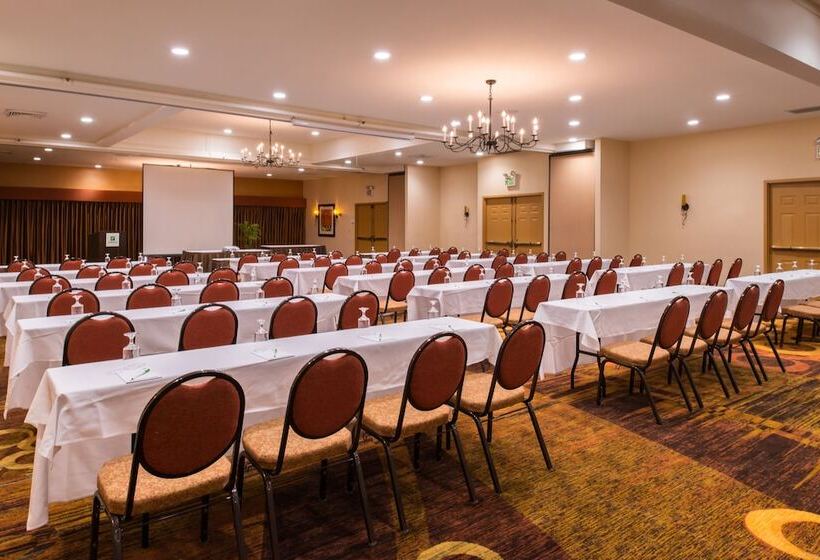 בית מלון כפרי Holiday Inn Dublin Pleasanton, An Ihg
