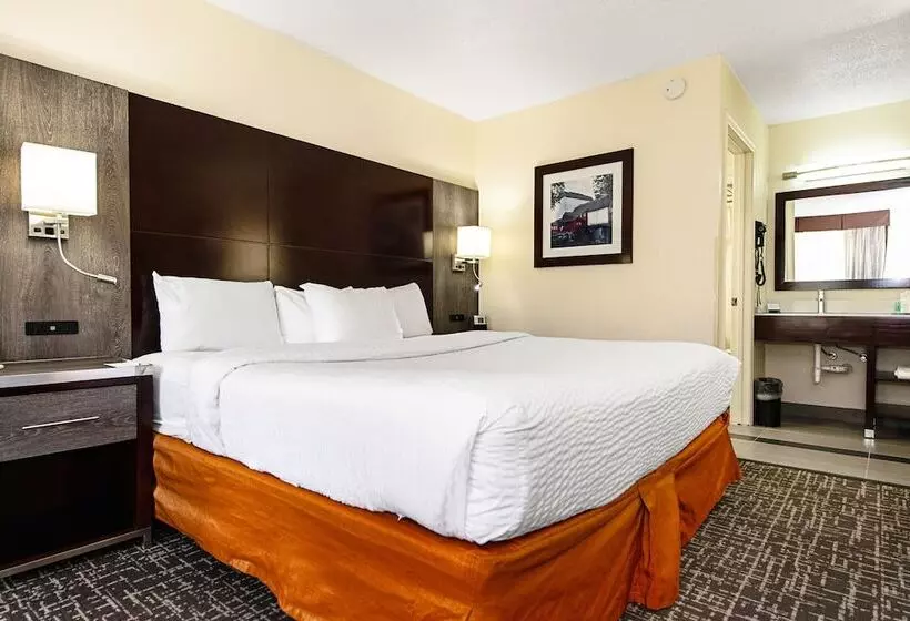 酒店 New Hope Inn & Suites