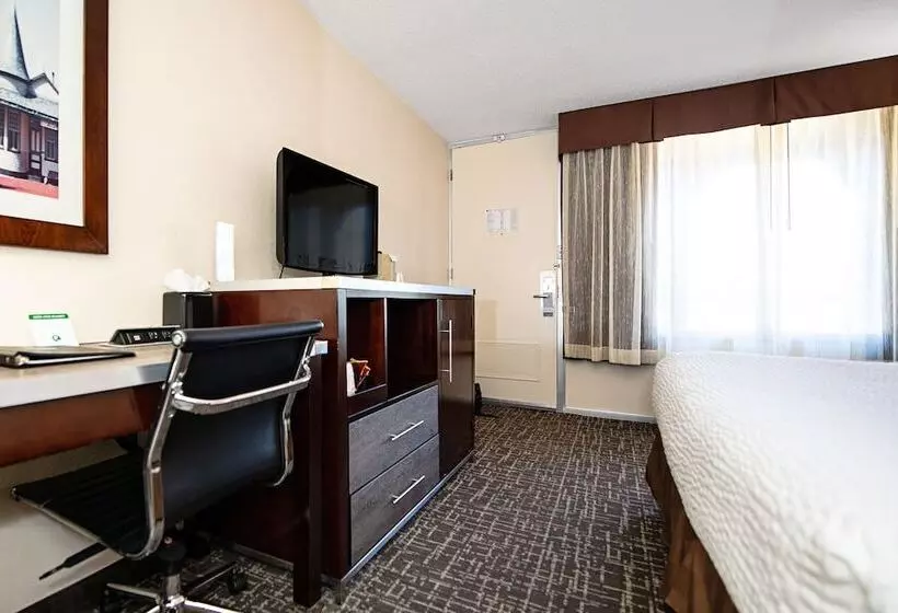 酒店 New Hope Inn & Suites