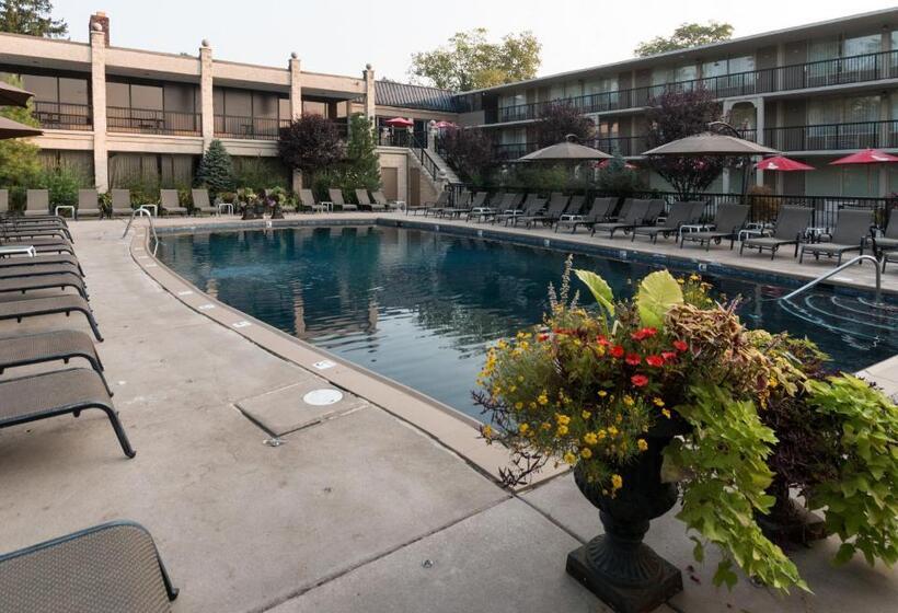 호텔 New Hope Inn & Suites