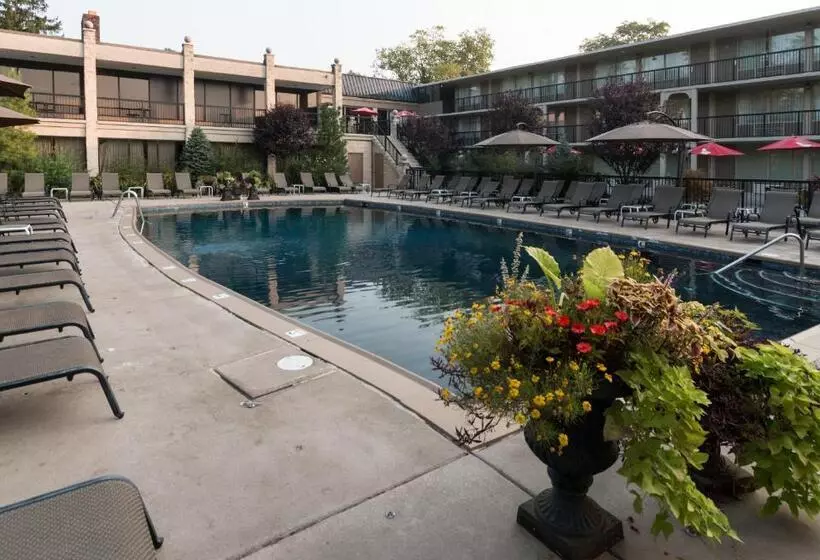 酒店 New Hope Inn & Suites