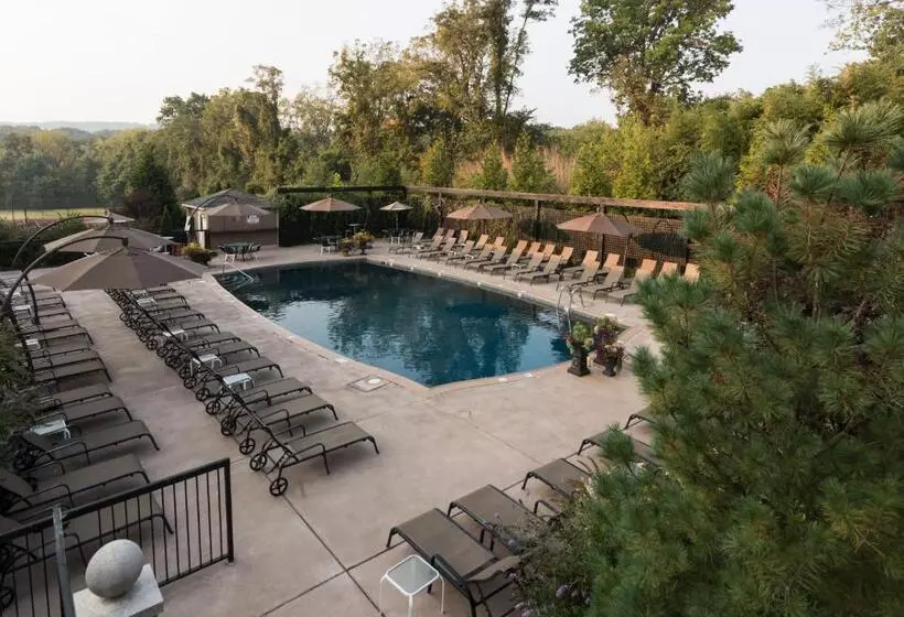 酒店 New Hope Inn & Suites